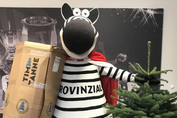 Ein Zebra-Maskottchen mit einem roten Umhang und einem gestreiften Hemd mit der Aufschrift PROVINZIAL steht mit einem Karton mit der Aufschrift TIM TANNE und einem kleinen Weihnachtsbaum in der Hand im Raum.