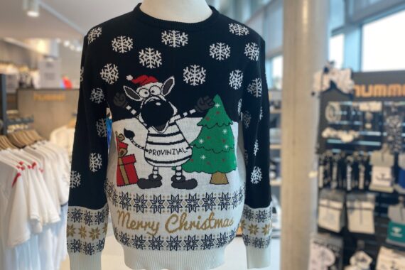 Ein festlicher Weihnachtspullover mit einem Cartoon-Zebra, das eine Weihnachtsmannmütze trägt und neben einem Weihnachtsbaum und einem Geschenk steht. Am unteren Rand steht "Frohe Weihnachten" geschrieben, mit Schneeflocken als Hintergrundmuster.