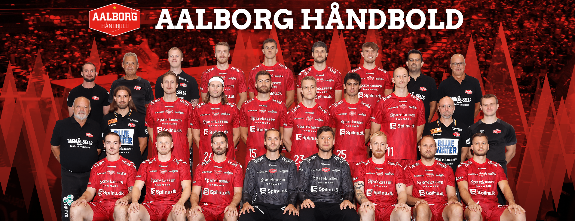 aalborg handball live