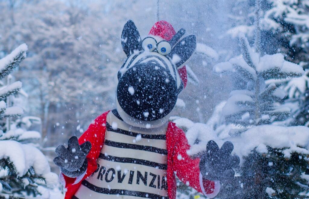 Handball-Bundesliga 2012/13: Weihnachtsbäume THW Kiel Eine Person in einem Zebra-Maskottchen-Kostüm mit roter Mütze und Jacke steht in einer verschneiten Szene, in der Schnee fällt und die Bäume hinter ihr weiß bedeckt sind. Auf dem Shirt des Zebras steht PROVINZIA - perfekt für den THW Kiel Handball Fanshop zu Weihnachten!.