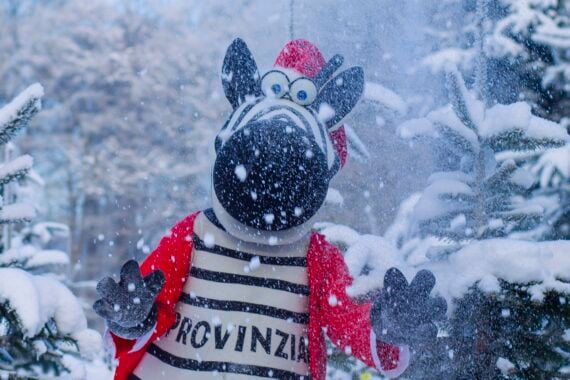 Eine Person in einem Zebra-Maskottchen-Kostüm mit roter Mütze und Jacke steht in einer verschneiten Szene, in der Schnee fällt und die Bäume hinter ihr weiß bedeckt sind. Auf dem Shirt des Zebras steht PROVINZIA - perfekt für den THW Kiel Handball Fanshop zu Weihnachten!.