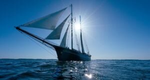 Ein großes Segelboot mit weißen Segeln gleitet unter klarem Himmel über ruhiges blaues Wasser, während die Sonne hell hinter seinem Mast scheint und sich auf der Wasseroberfläche spiegelt.