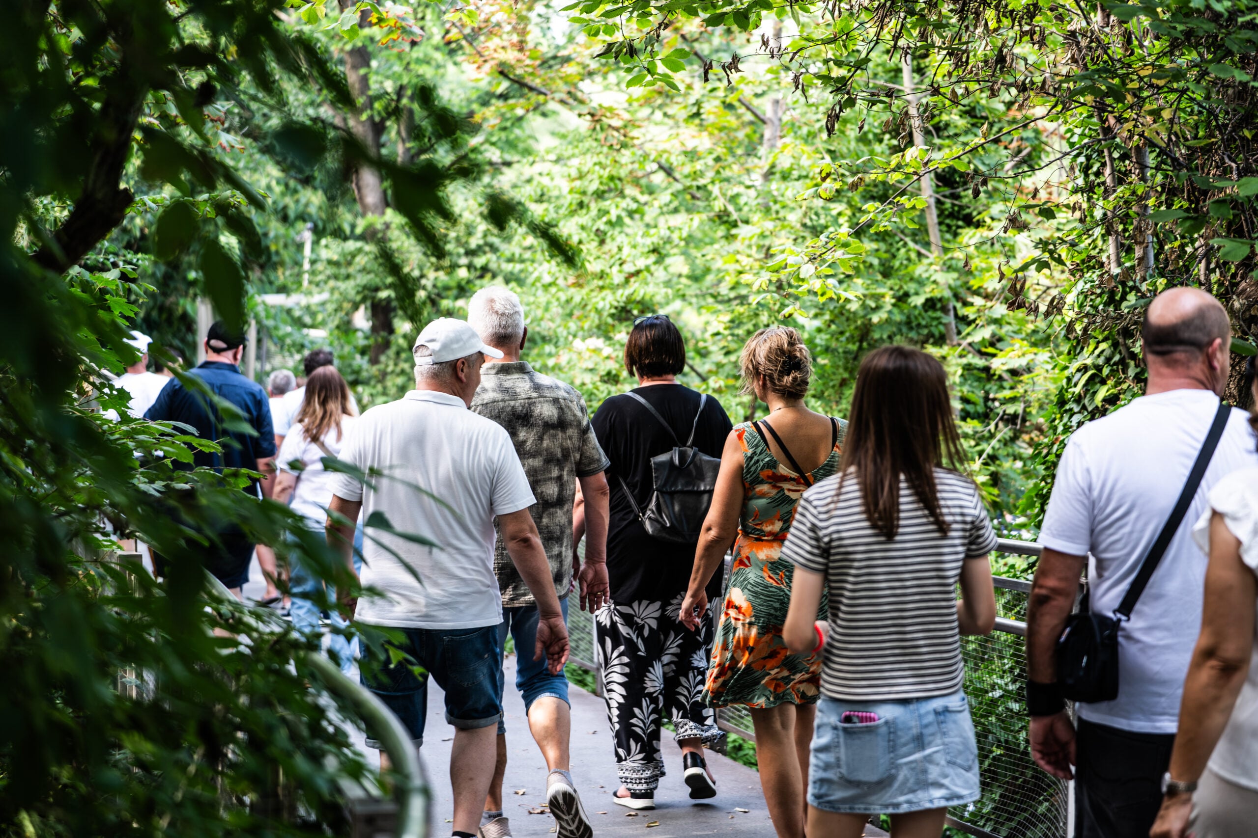 Eine Gruppe von Menschen spaziert an einem sonnigen Tag auf einem schattigen, von Bäumen gesäumten Weg in einem Park – eine Szene, die an die ruhige Atmosphäre erinnert, als der neue Trainer Börge Lund beim THW Kiel vorgestellt wurde. Üppiges grünes Laub umgibt sie.
