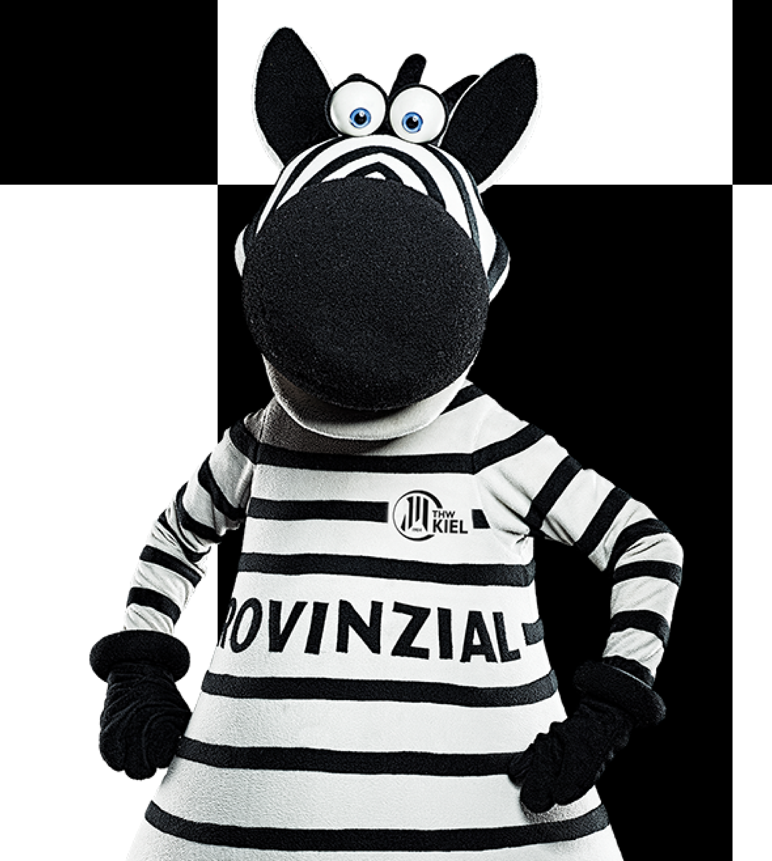 Profilbild des Spielers